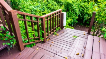 outdoor-wooden-stair-forest (1)-min